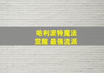 哈利波特魔法觉醒 最强流派